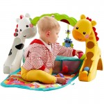 Centru activitati Fisher Price - Saltea bebelusi- Newborn Toddler Play Gym